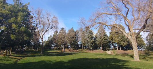 Pradera verde en un parque con árboles de hoja caduca y perenne bajo un cielo azul brillante en Burgos, España