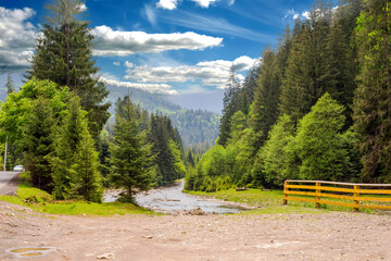 Mountain landscape - a shallow river flowing in the mountains among coniferous trees