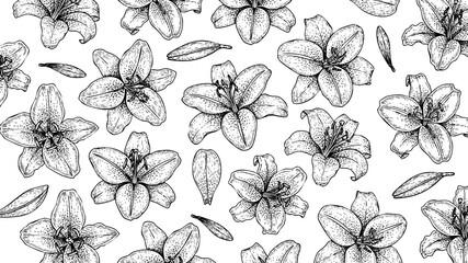 Wooden Engraving Lily in White Background