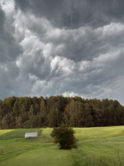 Summer landscapes with meadows and clouds in Latgale.