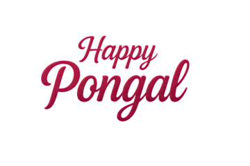 Elegant Happy Pongal pink text illustration with smooth lettering style, festive cultural theme, and bright celebratory message designed for seasonal artwork on white background
