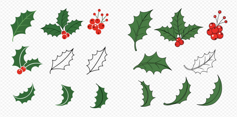 Collection of holly leaves and red berries illustrations in various styles, perfect for Christmas and winter designs.