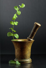 Vintage brass mortar and sprig of mint.
