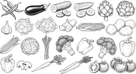 Large Vintage Engraving Style Vector Collection of Assorted Vegetables Including Corn, Eggplant, Carrots, Broccoli, Tomatoes, Peppers, and Garlic, Ideal for Healthy Eating, Cooking, and Organic Food T
