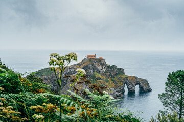 Gaztelugatxe Hermitage Island with Natural Arch Framed by Coastal Vegetation and Pine Tree