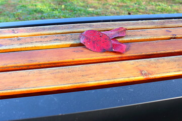 ベンチと紅葉した枯れ葉