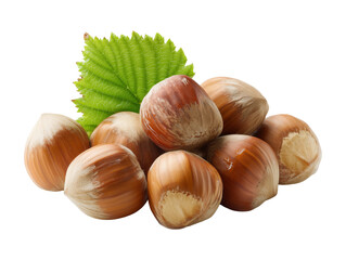 Fresh Hazelnuts on Transparent Background