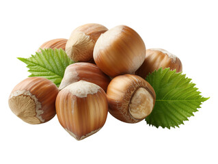 Fresh Hazelnuts on Transparent Background