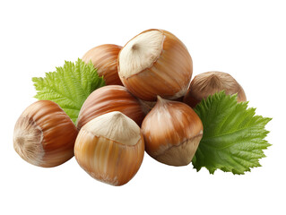 Fresh Hazelnuts on Transparent Background