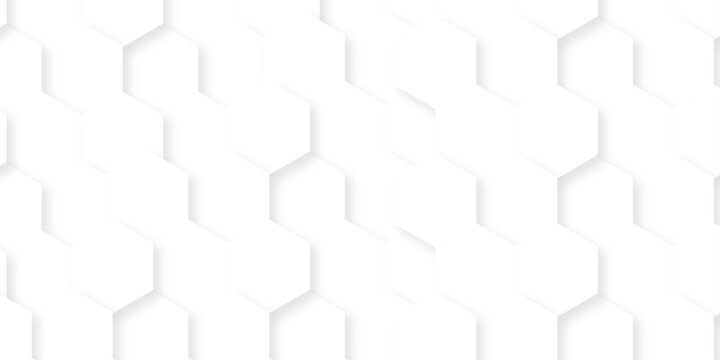 Background with hexagons . Abstract background with lines . white texture background . hexagon abstract background. Surface polygon pattern with glowing hexagon paper texture and futuristic business	