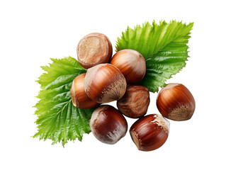 Fresh Hazelnuts With Green Leaf on Transparent Background