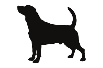 Jack russell terrier dog silhouette vector, terrier puppy dog silhouette, dog breed