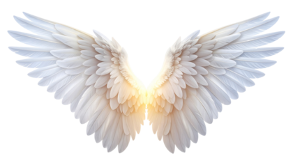 Divine Feathered Wings with Radiant Soft Light