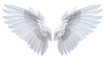 Naklejka premium Elegant White Angel Wings Fully Outstretched
