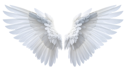Elegant White Angel Wings Fully Outstretched