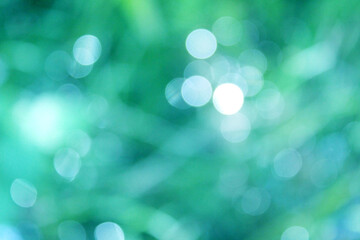 キラキラ背景素材 ボケ グリーン 植物 春 きらめき 爽やか