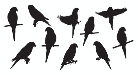 Obraz premium Diverse collection of exotic bird silhouettes, including parrots and parakeets, depicted in various poses like perching, flying, and standing. Ideal graphic assets for design, nature themes, and educa