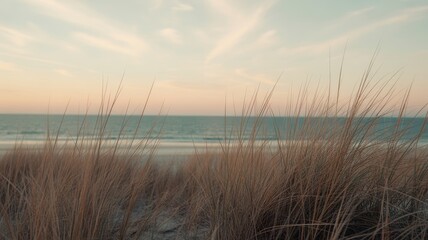 Dune grass on sandy beach with calm ocean and pastel sky at sunset