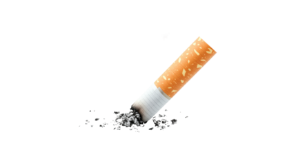 Lit Cigarette Butt Ash isolated on a transparent background