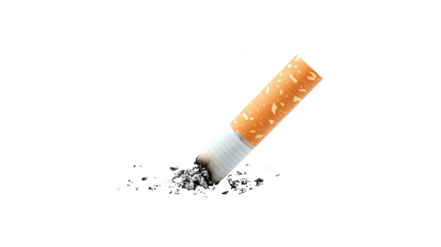 Lit Cigarette Butt Ash isolated on a transparent background