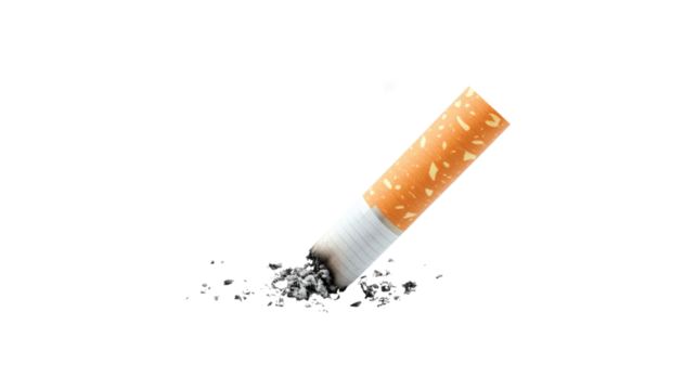 Lit Cigarette Butt Ash isolated on a transparent background