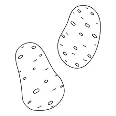 Detailed illustration of two whole potatoes lying on a flat surface in a simple style