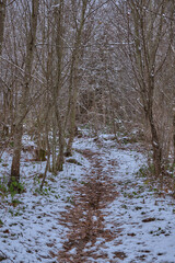 Fototapeta premium Randonnée hivernale dans les Alpes Française