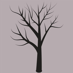 Bare Tree Silhouette