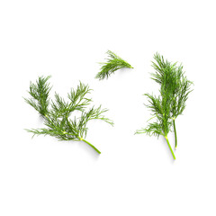 Fresh Dill Sprigs on White Background.