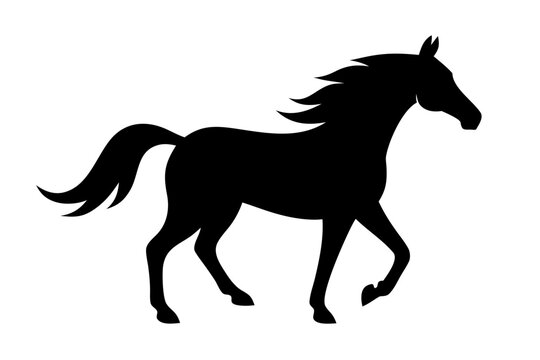 Morgan horse silhouette vector, Horse black symbol
