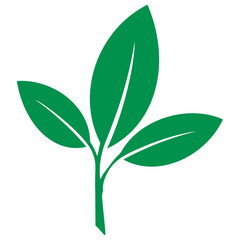 Green leaf sprout illustration representing eco friendly fresh plant growth and natural botanical environmental vector design