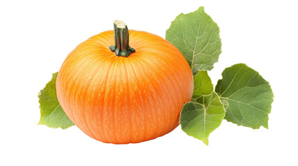 Ripe Orange Pumpkin Green Leaves isolated on a transparent background