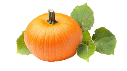 Ripe Orange Pumpkin Green Leaves isolated on a transparent background