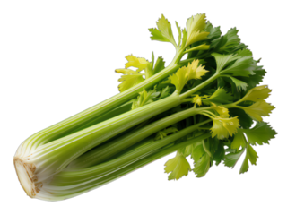 Fresh celery bunch on black background