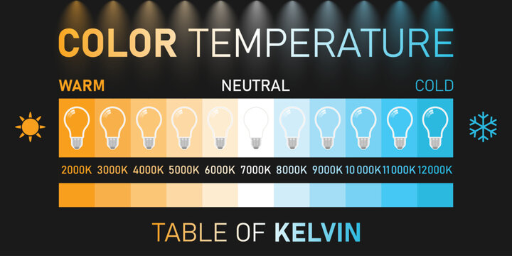 Color temperature Kelvin scale. Led diagram with warm and daylight spectrum halogen and cool spectrum infographics vector