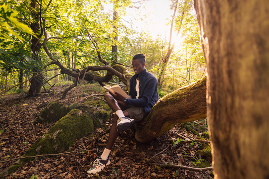 Man reading book while sitting on tree trunk in forest