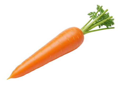 Vibrant orange carrot with lush green tops, unpeeled and clean, positioned diagonally on a transparent background with copy space. Concept of healthy eating and fresh produce