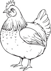Fat Chicken Hen Poultry Farm Domestic Bird Hand-drawn Sketch Drawing Vector Illustration, Line Linear Symbol Engraving Coloring Book, Black and White Isolated