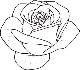 Open Rose Bud Hand-drawn Sketch Drawing Vector Illustration, Line Linear Symbol Engraving Coloring Book, Black and White Isolated