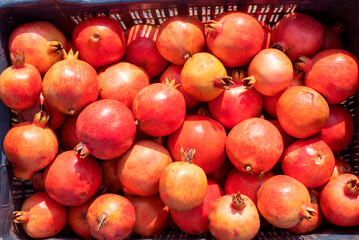 red ripe pomegranates fruit in a container. bright background, pomegranates close up