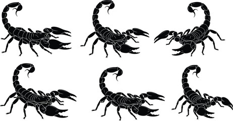 Black Scorpion Silhouette Vector Collection Set Illustrating the Arachnid in Various Threatening Poses with Raised Tails and Claws, Ideal for Danger, Desert, and Zodiac Concepts