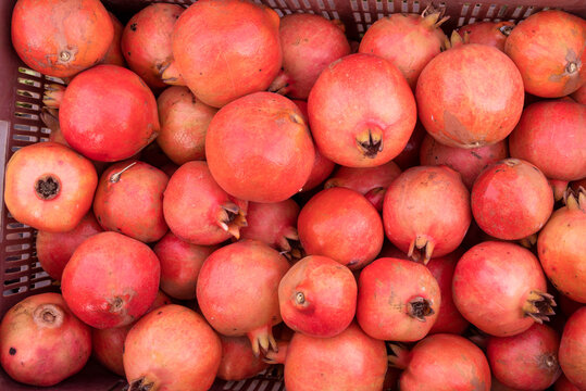 red ripe pomegranates fruit in a container. bright background, pomegranates close up