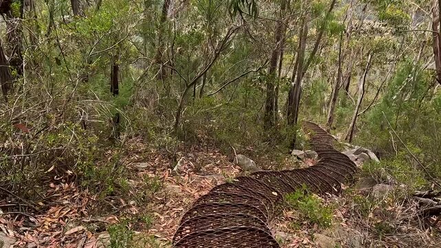 rand Canyon Walk in Grampians or Gariwerd, Australia - Scenic Hiking Trail and Canyon Views