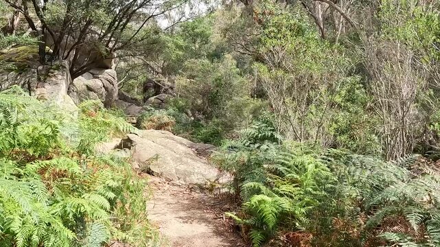 rand Canyon Walk in Grampians or Gariwerd, Australia - Scenic Hiking Trail and Canyon Views