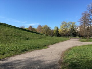 An asphalt park alley with trees featuring naked branches or young leaves surrounding a hill covered with short grass under the light-blue spring sky; a photo for walk and relax article illustration.