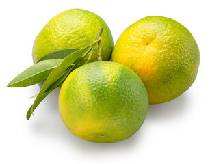 Three green tangerines and tangerine leaves isolated on white background. File contains clipping paths.