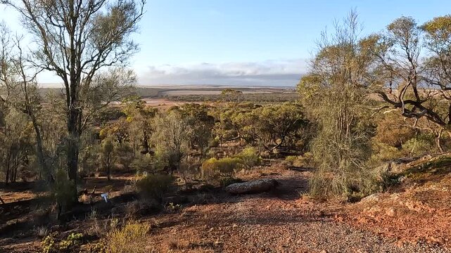 Whites Knob Scenic Lookout, Tranquil South Australian Outback Landscape at Sunset from Kimba's High Point