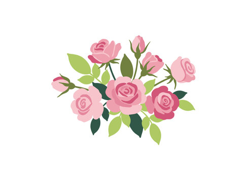 A vector illustration in vintage style depicting a bunch of pink cabbage or Austin rose flowers set against a white background, rendered as a botanical drawing of a cultivated garden flowering plant