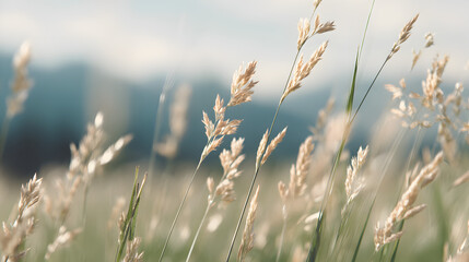 Gentle Breeze Whispering Through the Reeds: The sun's soft touch caresses a field of golden reeds swaying gracefully in a summer breeze. the soft and gentle wind.