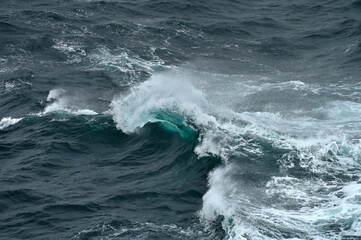 Fototapeta premium Huge Wave Crashing Down